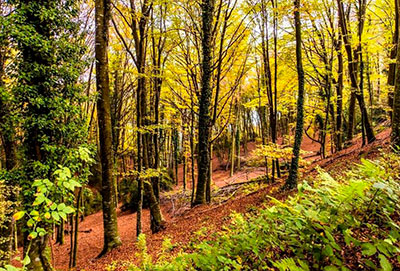 Llocs d'interès de la Garrotxa