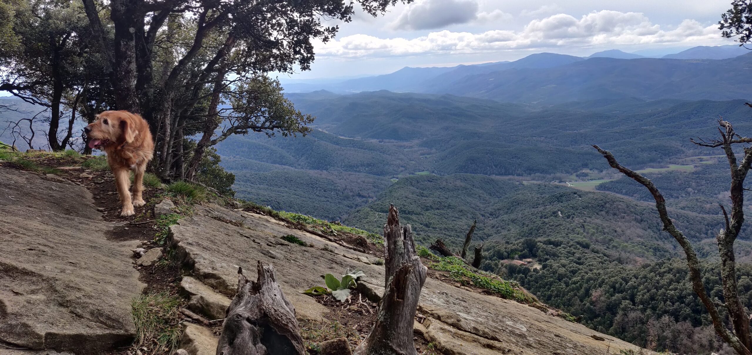 El Jardinet de Sant Esteve - Alta Garrotxa Excursió Laika